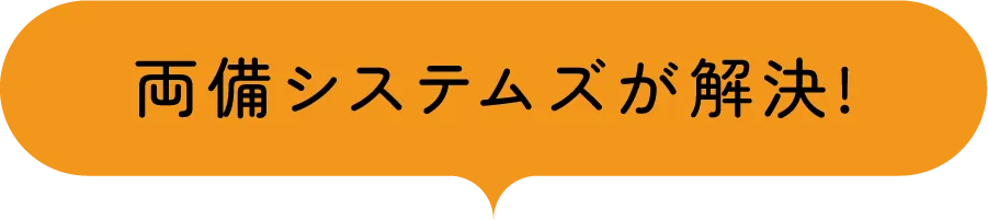 両備システムズが解決
